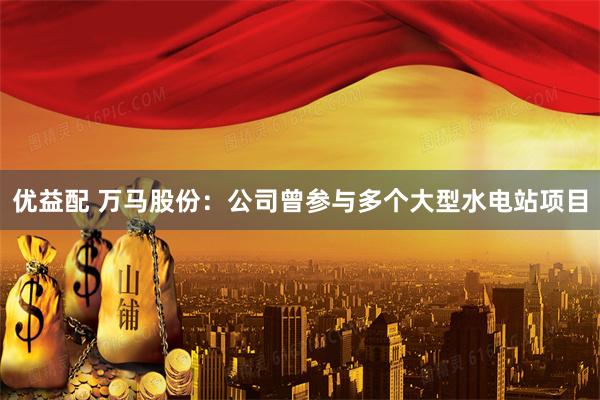 优益配 万马股份：公司曾参与多个大型水电站项目