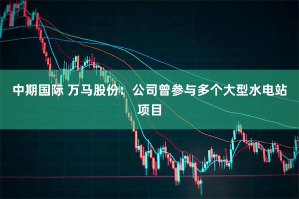 中期国际 万马股份：公司曾参与多个大型水电站项目